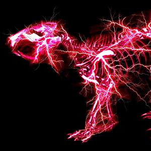 日本黄色片一集幼女
