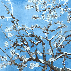 国产浓毛在线观看
