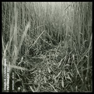 美乃雀我的老公
