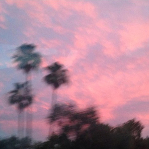 中国黄色一级毛片
