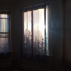 大香蕉视频在线观看
