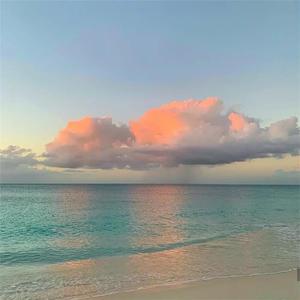 波多野结衣超清无码专区
