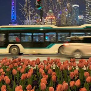 色精品视频在线观看
