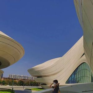 国产精品毛片在线更新
