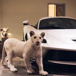 通野未帆插逼国语视频
