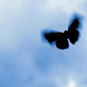 捆绑+触手+挤奶+女仆
