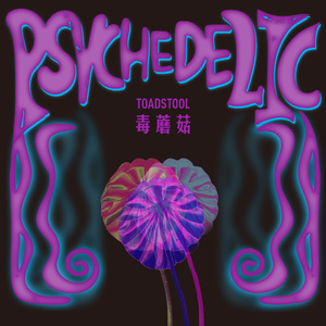 包头墙纸厂家用小鹿营销导航
