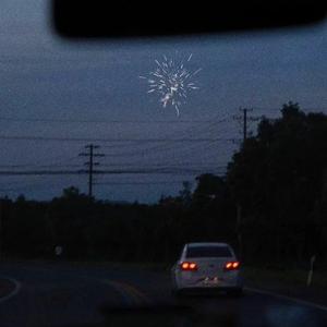 商用流量小狼导航
