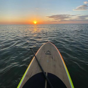 中国黄色一级毛片
