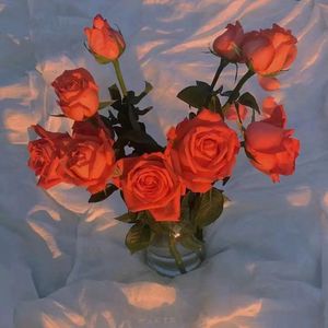 通野未帆插逼国语视频
