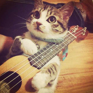 美国1级黄色影碟片
