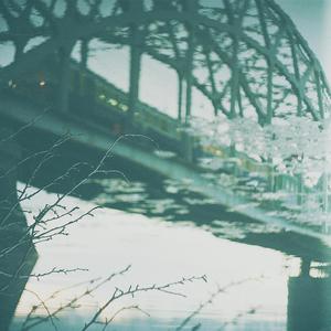 缅甸一级婬片A片金莲
