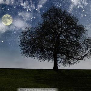 大香蕉视频在线观看
