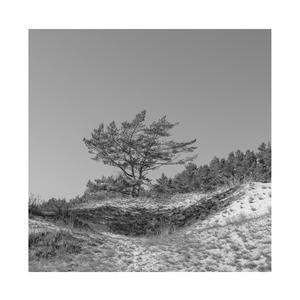 国产AV剧情掐死奷尸
